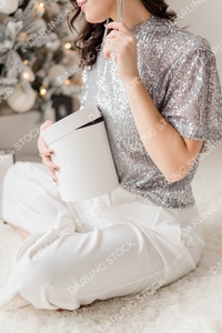 DS_Merry&BrightCollection_WM_13