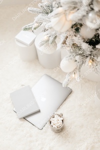 DS_Merry&BrightCollection_WM_32