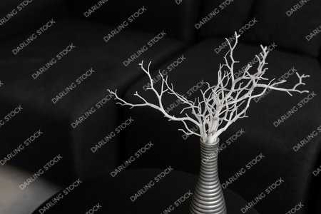 DS_SolopreneurCollection_WM_28