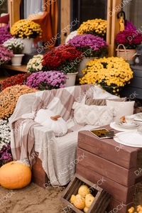 DS_PumpkinSeasonCollection_WM_15