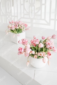 DS_SpringEssenceCollection_WM_05